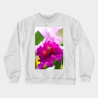 Maui Fuchsia Cattleyas Orchid Crewneck Sweatshirt